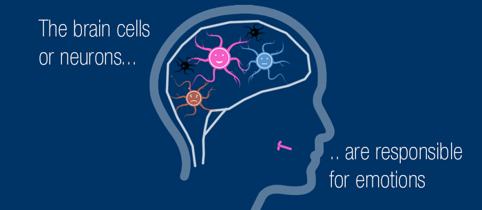 Neuron Emotions